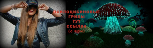 амф Алзамай