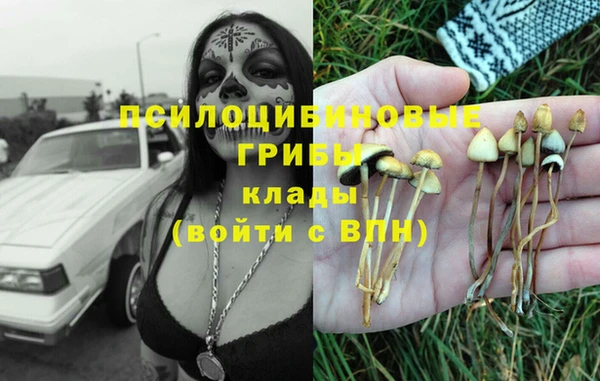 амф Алзамай