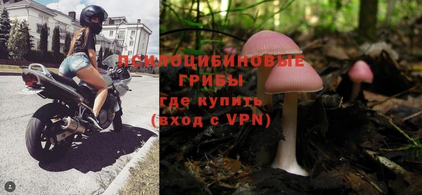 сатива Арсеньев