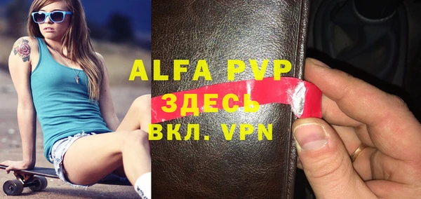 мет Алексин