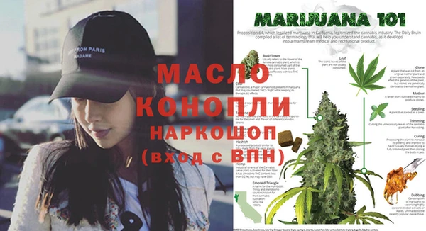 сатива Арсеньев