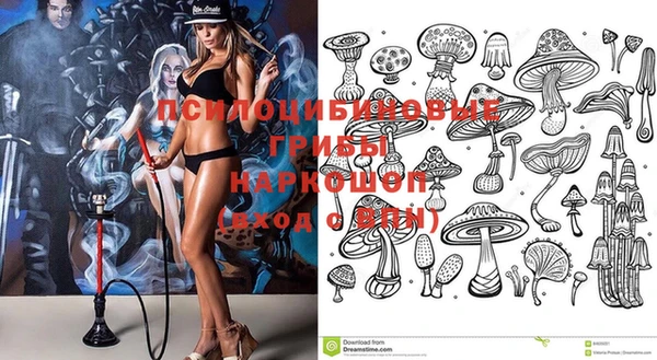 сатива Арсеньев